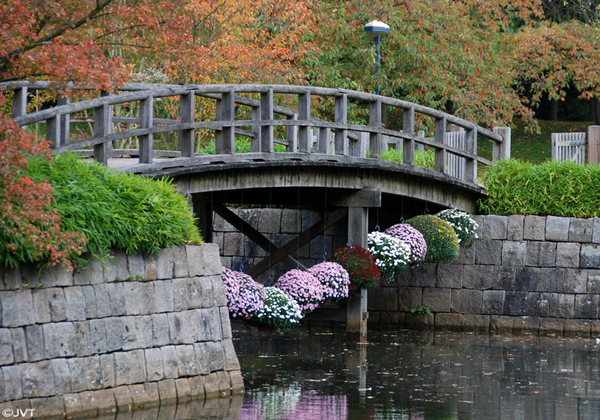 Japan 11
