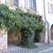 36 La Bastide en Armagnac 006