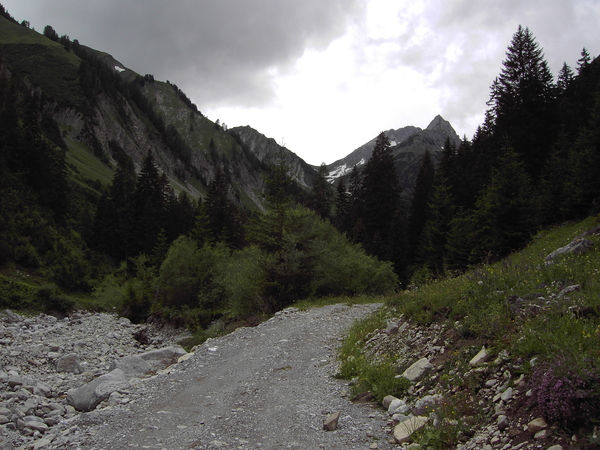 landschap, bergen, Tirol