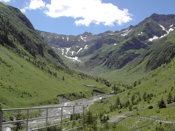 bergen, Tirol, natuur