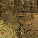 trip 08-11-08 013
