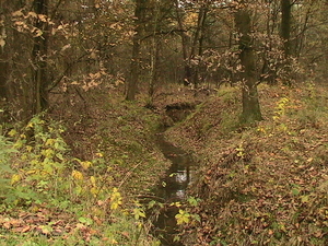trip 08-11-08 013