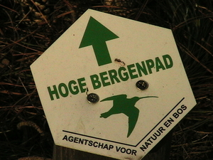 trip 08-11-08 Hoge Bergen 016