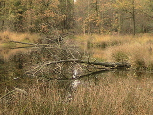 trip 02-11-2008 028