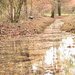 trip 11-11-08 037