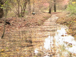 trip 11-11-08 037