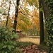 trip 11-11-08 074