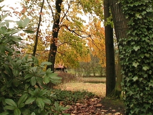 trip 11-11-08 074