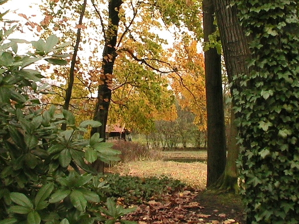 trip 11-11-08 074