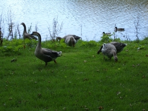IMGP0066