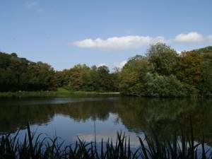 IMGP0068