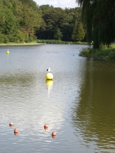 IMGP0072