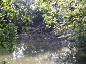 IMGP0073