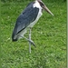 sized_057