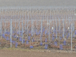 P1090796