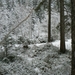 P1100475