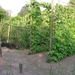 Afbeelding 19-1-2008 004