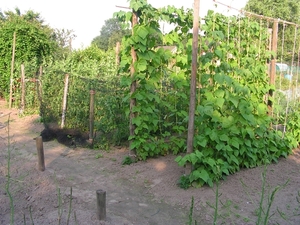 Afbeelding 19-1-2008 004