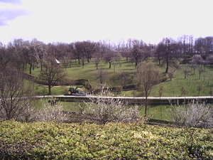 PICT0015