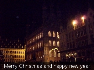 grote markt kerstverlichting