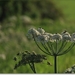 sized_Afbeelding 094