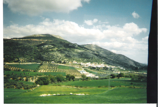 zicht op de olijfbomen