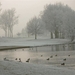 winterlandschap