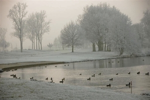 winterlandschap