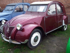 09 Citron 2CV Geitje