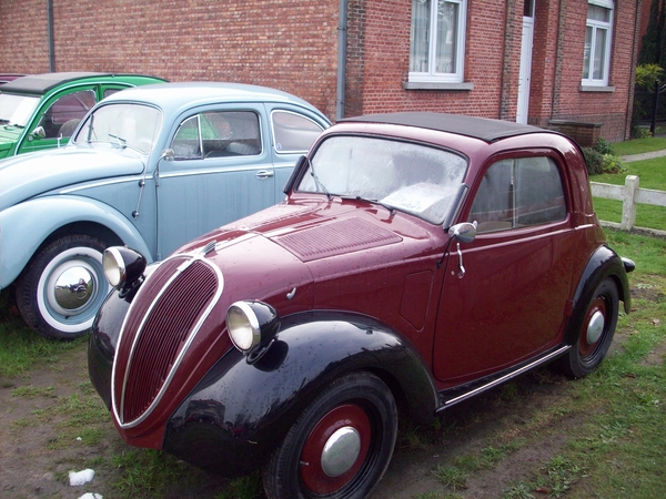 10 Citron 2CV Geitje