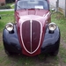 11 Citron 2CV Geitje