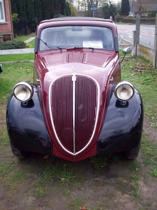 11 Citron 2CV Geitje