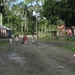 Republica Dominicana 094