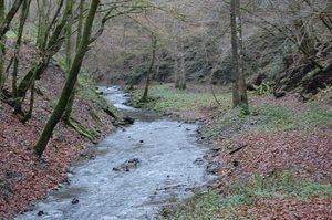 Cochem 2007. 028