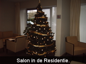 Salonversiering. 2008