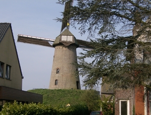 molen wippelgem