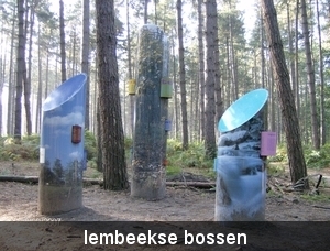 kunstwerk  in bos