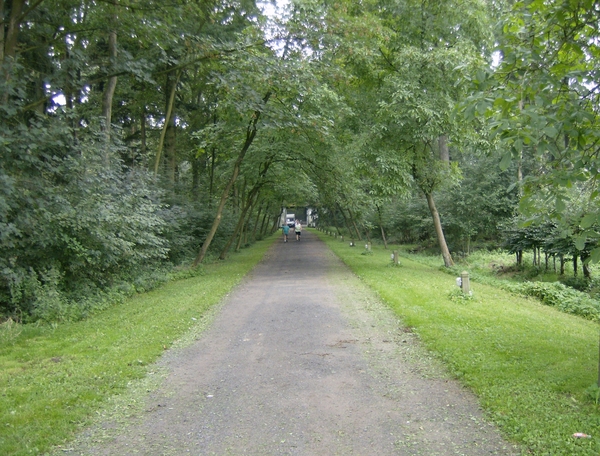 WEG NAAR DRONGENGOED