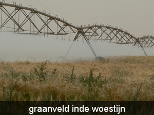 Libie 2008