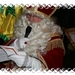 img_0828 (2) valt niet mee h� sinterklaas