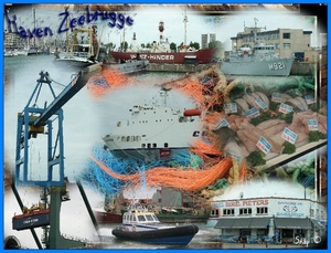 Haven Zeebrugge