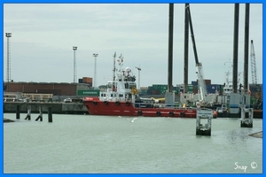 haven zeebrugge (8)