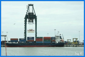 haven zeebrugge (14)