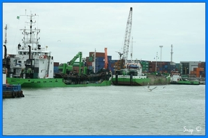 haven zeebrugge (16)