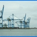 haven zeebrugge (17)