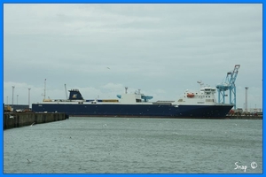 haven zeebrugge (25)