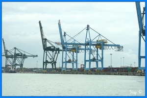 haven zeebrugge (28)