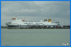 haven zeebrugge (31)