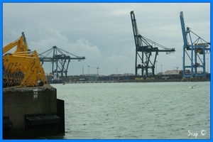 haven zeebrugge (32)