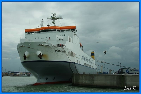 haven zeebrugge (38)